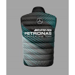 3D МЪЖКИ ЕЛЕК Mercedes Petronas #216