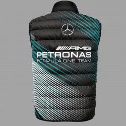 3D МЪЖКИ ЕЛЕК Mercedes Petronas #216