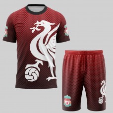 3D Комплект Тениска и къси гащи Liverpool #167
